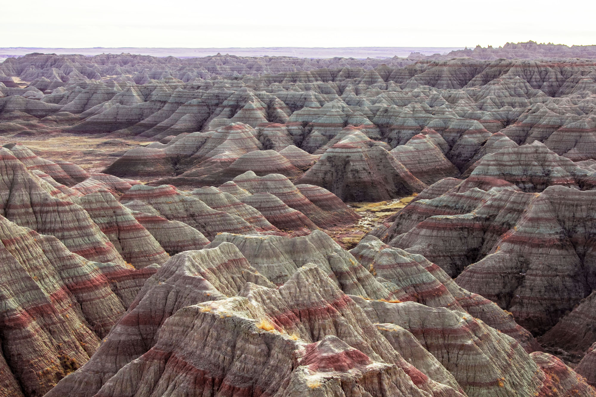 NFT Development Company in  South Dakota